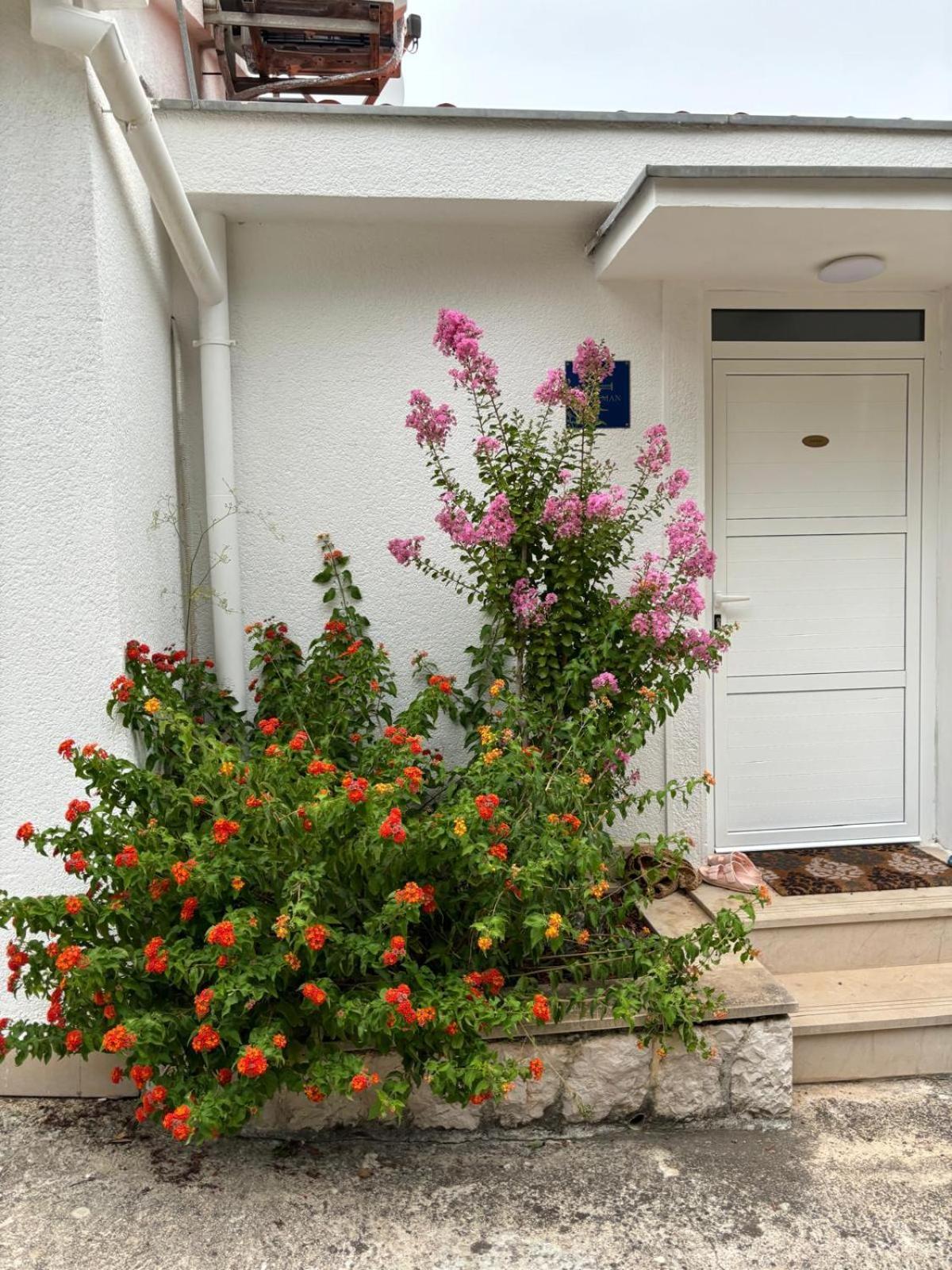 Apartment Viducic
